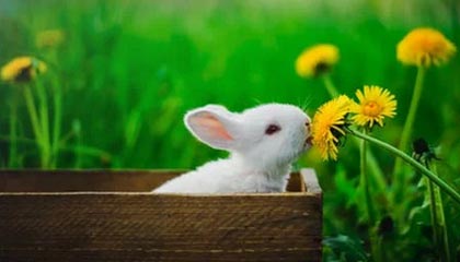 九游下载官网-大牌阵容未能发挥应有水平