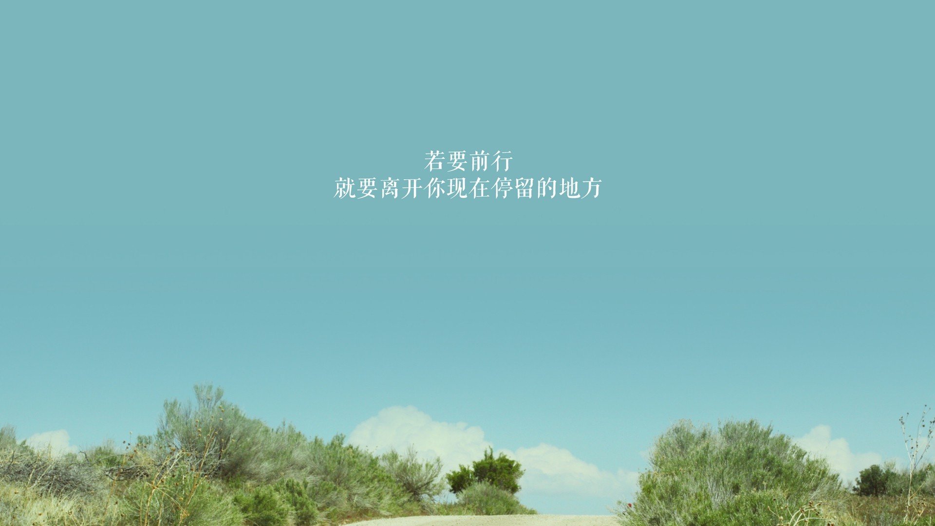 中国体操队公布奥运阵容，中国体操队 奥运