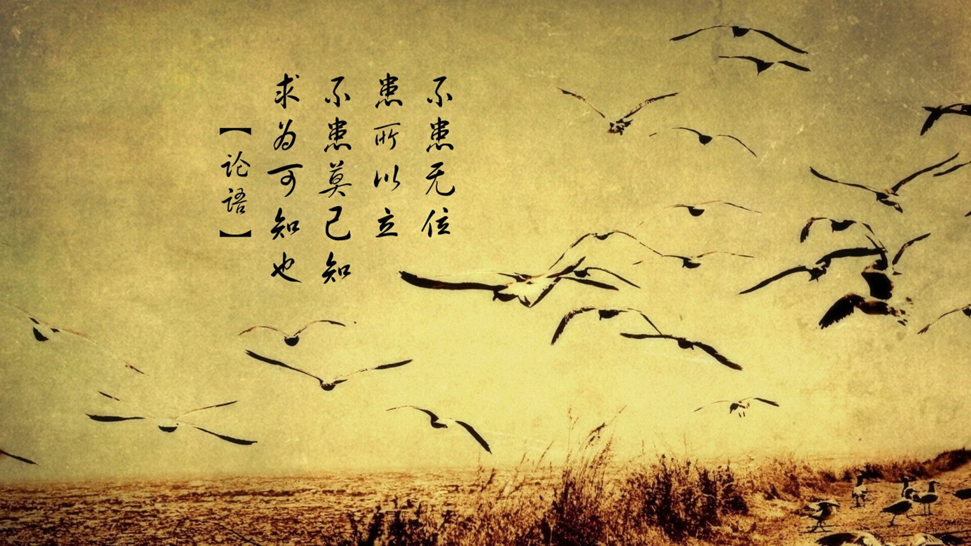 伯恩茅斯主场收获三分，继续保持主场不败，球队稳固表现，伯恩茅斯ds