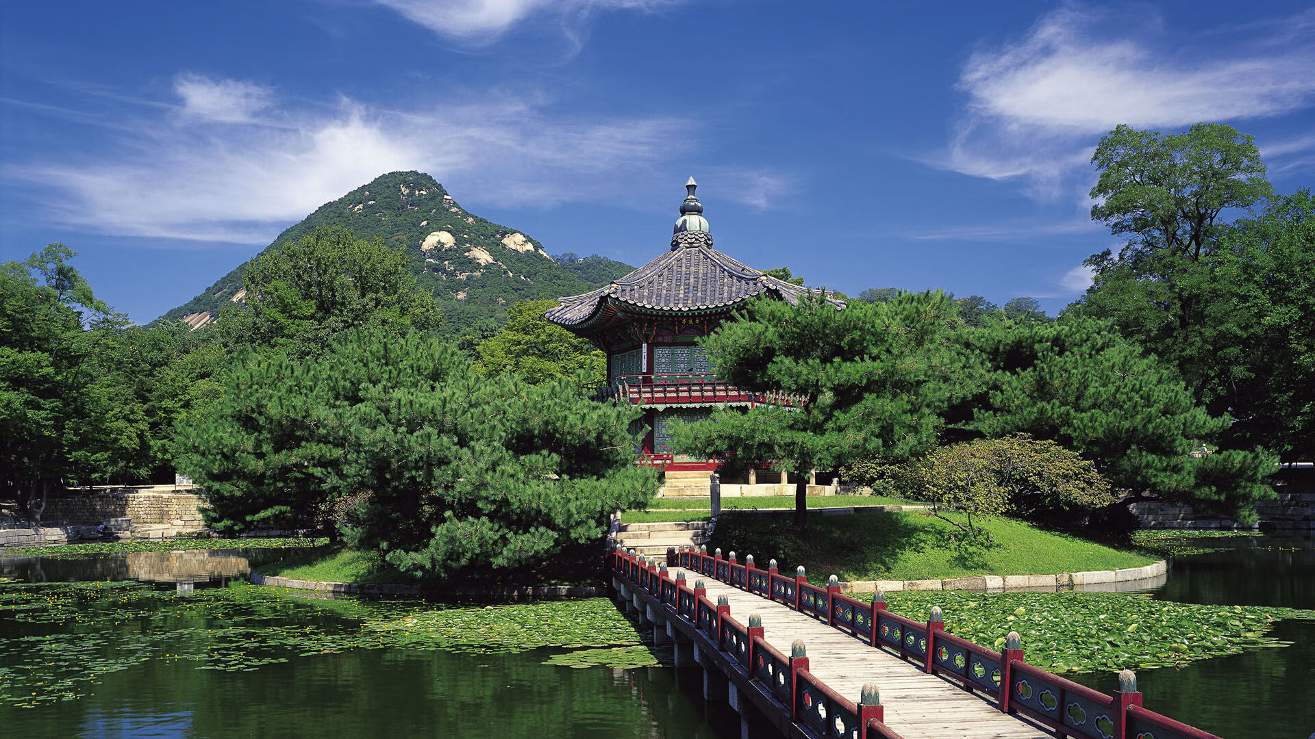 法兰克福客场逆转失败，德甲争冠形势严峻，德甲法兰克福队服