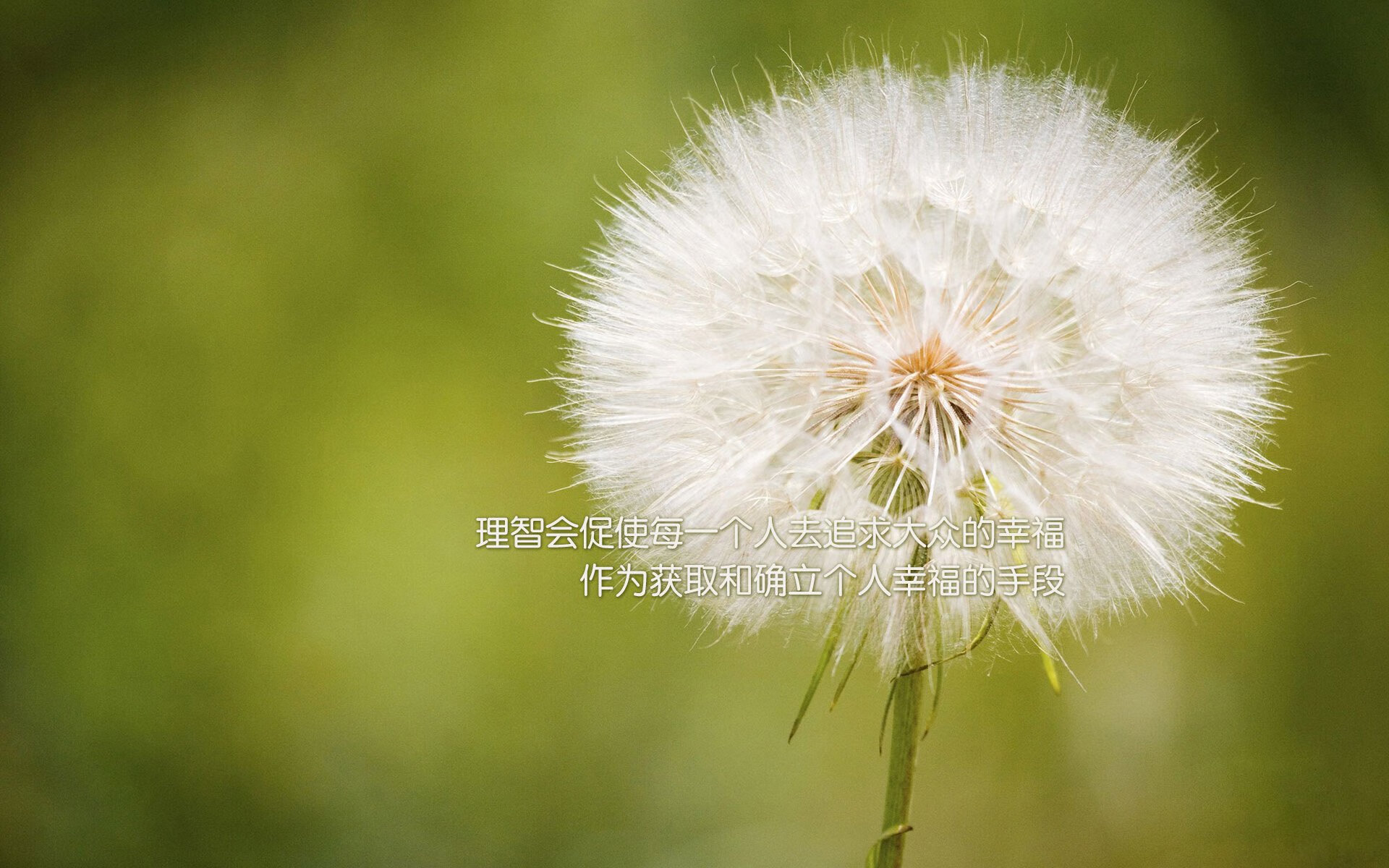 贝尔格莱德红星季后赛冲击力十足，贝尔格莱德红星108分