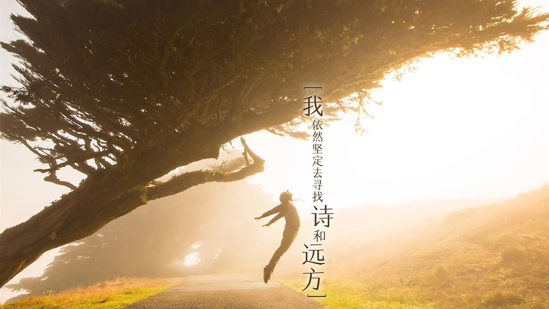 青训成绩是否该纳入俱乐部综合评分系统,青训梯队