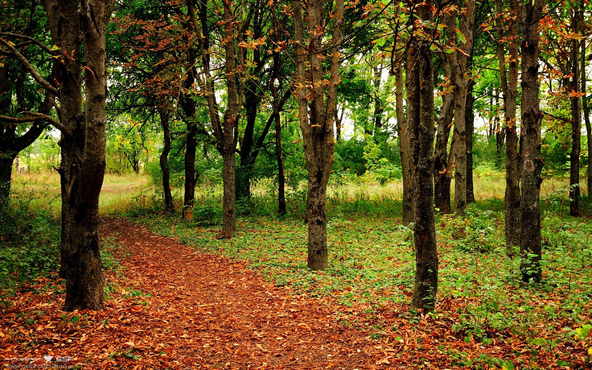 德甲球队通过数据驱动微调防守层级结构应对反击，德甲防守最好的球队
