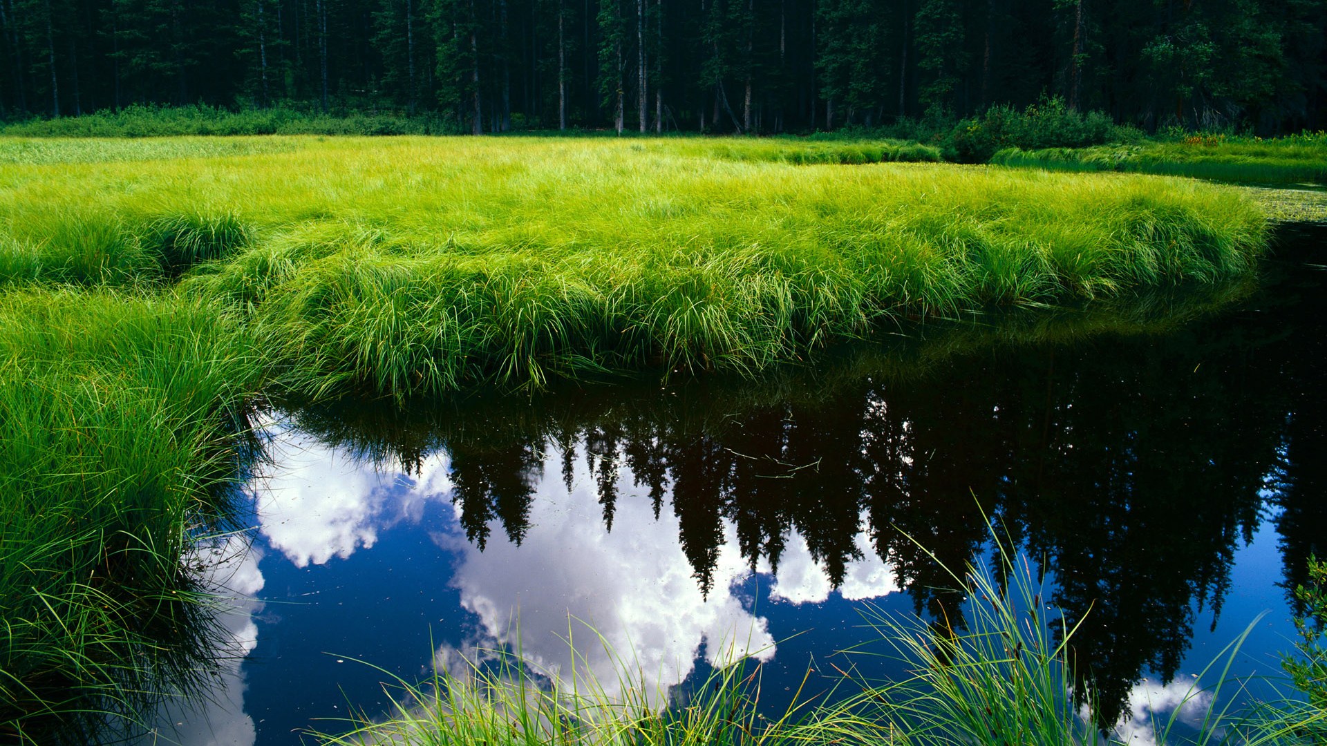 英超裁判语义分析提升判罚一致性的案例研究,英超裁判出牌