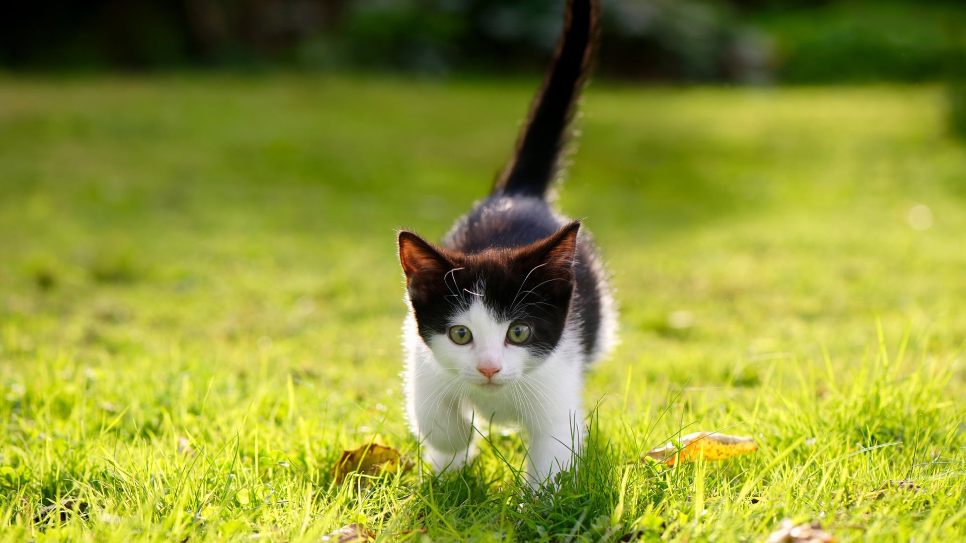 国家滑板队训练营加强细节打磨备战奥运,国家滑板集训队