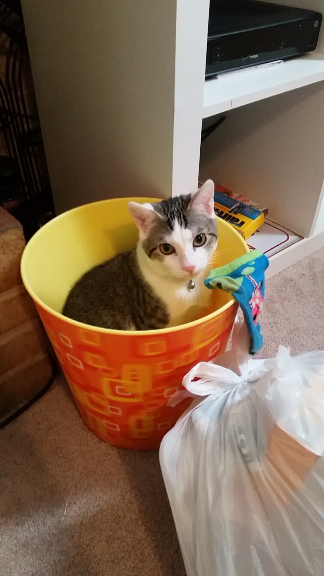 快节奏下的出手机会是否更依赖短时间判断力，快节奏带来的危害