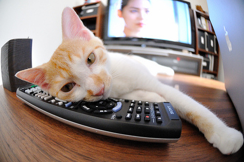 快攻推进时节奏错判是否容易导致空位浪费，快攻的阶段