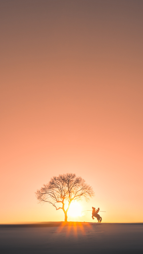 中国足球国家队逐步建立多层次替补人才库,中国足球人才选拔