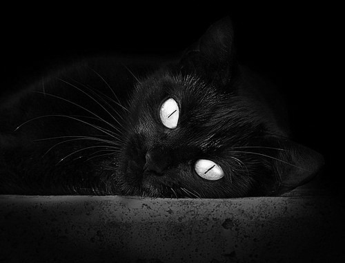 九游9游-安东·李恩：全黑队进攻的“心脏”，总能在关键时刻做出精准判断