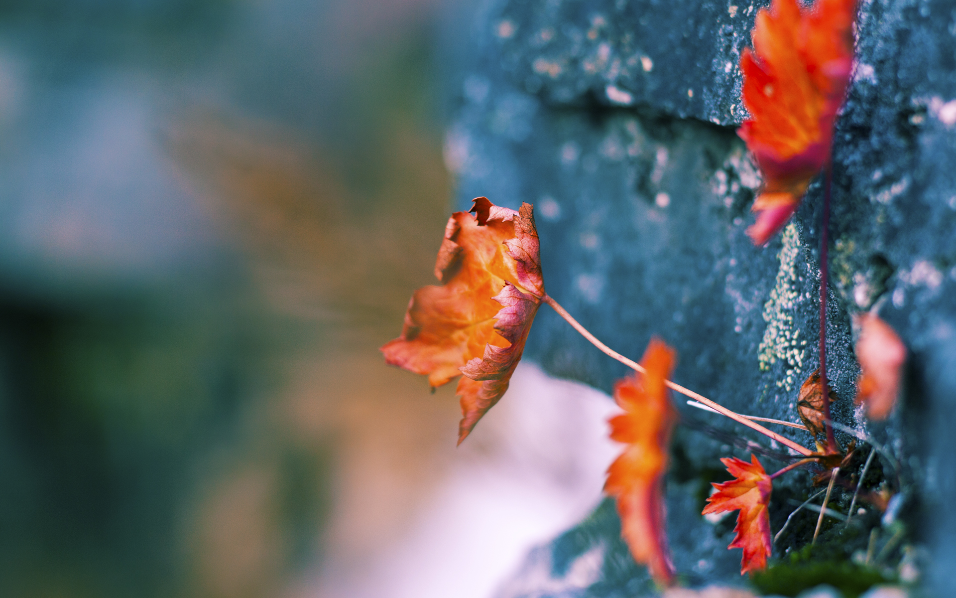 巴尔：全黑队中场的“破坏者”，精准抢断并快速反击