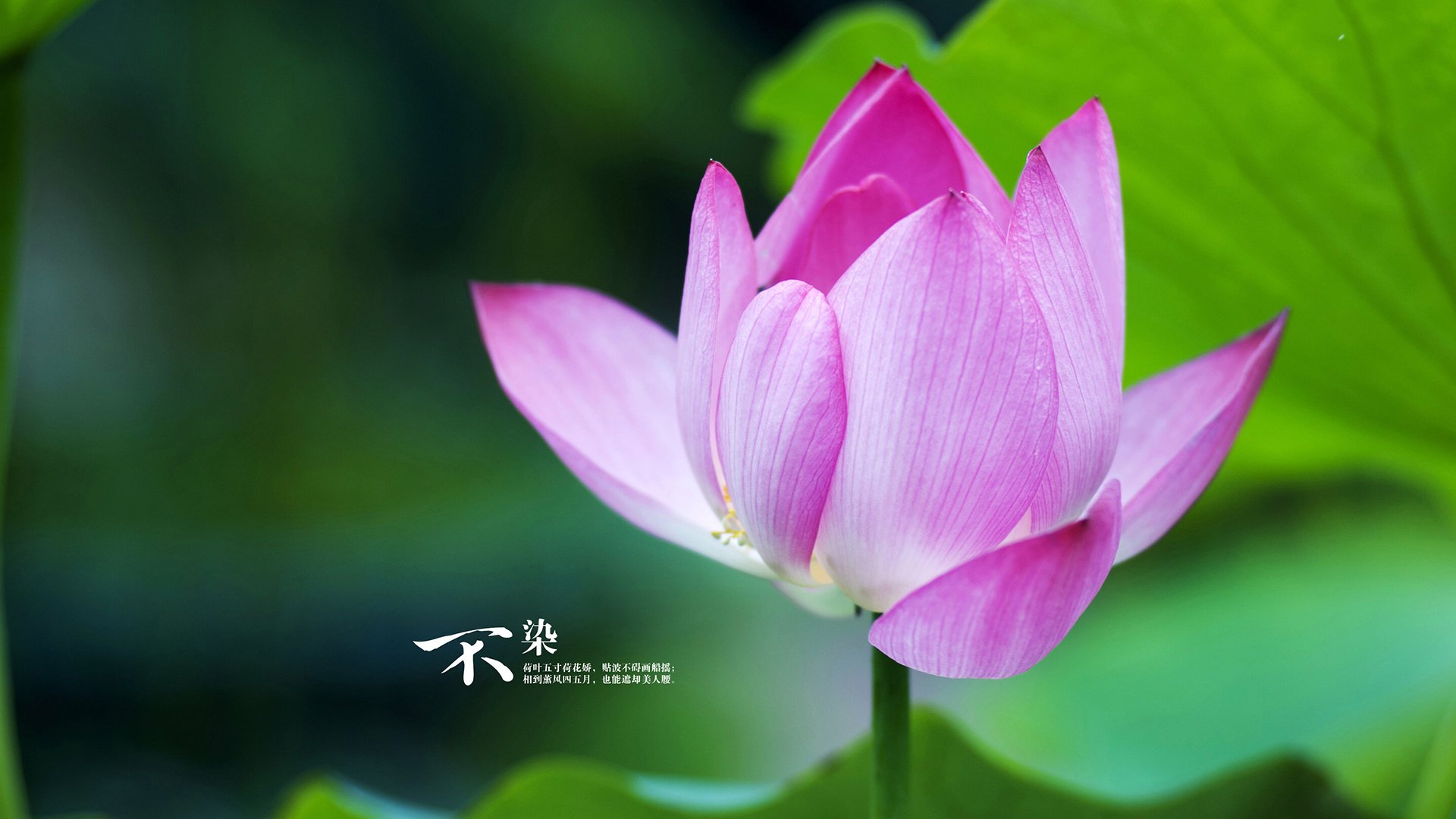 九游娱乐(jiuyou)官网-球队更换体能测试标准，引起专家热议，球员体能训练