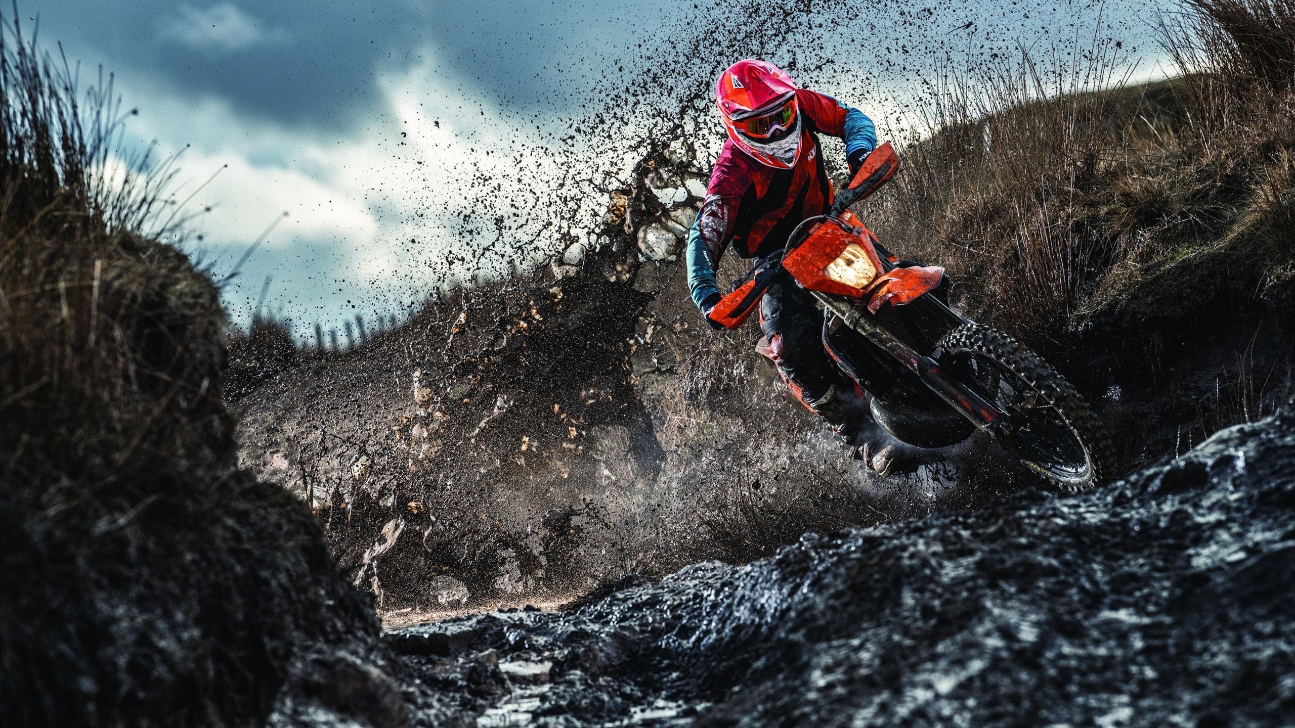 观众席扩声系统升级改善比赛氛围，观众席安排方式